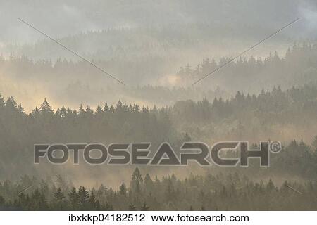 Stock Image - Mist rising from the forest, in the morning, at sunrise, Saxon Switzerland, Elbe Sandstone Mountains, Saxony, Germany, Europe. Fotosearch