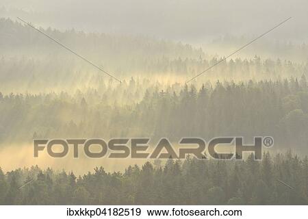 Mist rising from the forest, in the morning, at sunrise, Saxon Switzerland, Elbe Sandstone Mountains, Saxony, Germany, Europe View Large Photo Image Stock Photo - Mist rising from the forest, in the morning, at sunrise, Saxon Switzerland, Elbe Sandstone Mountains, Saxony, Germany, Europe. Fotosearch