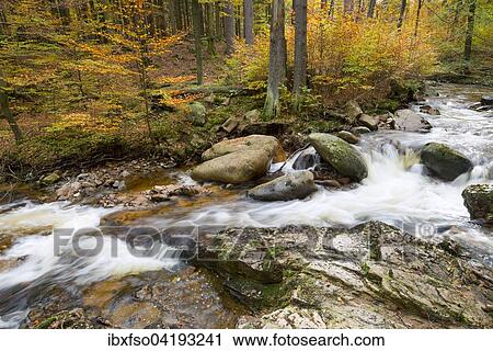 Mountain stream Ilse in autumn, Ilse valley, Harz, Saxony-Anhalt, Germany, Europe View Large Photo Image Stock Image - Mountain stream Ilse in autumn, Ilse valley, Harz, Saxony-Anhalt, Germany, Europe. Fotosearch