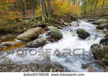 Mountain stream Ilse in autumn, Ilse valley, Harz, Saxony-Anhalt, Germany, Europe View Large Photo Image Stock Photograph - Mountain stream Ilse in autumn, Ilse valley, Harz, Saxony-Anhalt, Germany, Europe. Fotosearch