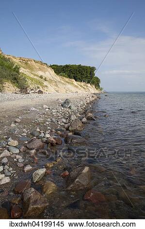 Nature reserve Brodtener shore, cliffs, Bay of Lubeck, Schleswig-Holstein, Germany, Europe View Large Photo Image Stock Photography - Nature reserve Brodtener shore, cliffs, Bay of Lubeck, Schleswig-Holstein, Germany, Europe. Fotosearch