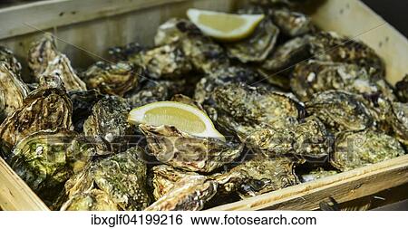 Oysters with lemon, Montmartre, Paris, Ile-de-France, France, Europe View Large Photo Image Stock Photograph - Oysters with lemon, Montmartre, Paris, Ile-de-France, France, Europe. Fotosearch