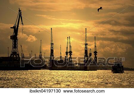 Port cranes in the evening light, harbor, Hamburg, Germany, Europe View Large Photo Image Stock Image - Port cranes in the evening light, harbor, Hamburg, Germany, Europe. Fotosearch