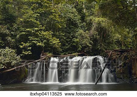 Pume waterfall, river Tinge, Mangamba, Littoral Region, Cameroon, Africa View Large Photo Image Stock Photography - Pume waterfall, river Tinge, Mangamba, Littoral Region, Cameroon, Africa. Fotosearch