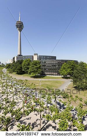 Rhine Tower and North Rhine-Westphalia parliament, Dusseldorf, Rhineland, North Rhine-Westphalia, Germany, Europe View Large Photo Image Stock Photo - Rhine Tower and North Rhine-Westphalia parliament, Dusseldorf, Rhineland, North Rhine-Westphalia, Germany, Europe. Fotosearch