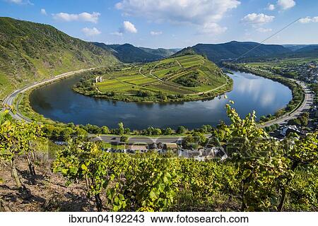 River bend of the Moselle, Bremm, Moselle valley, Rhineland-Palatinate, Germany, Europe View Large Photo Image Stock Image - River bend of the Moselle, Bremm, Moselle valley, Rhineland-Palatinate, Germany, Europe. Fotosearch