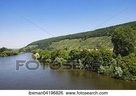 River Main and vineyards, Klingenberg am Main, Lower Franconia, Franconia, Bavaria, Germany, Europe View Large Photo Image Stock Photograph - River Main and vineyards, Klingenberg am Main, Lower Franconia, Franconia, Bavaria, Germany, Europe. Fotosearch