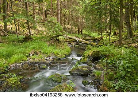 River Vesser, Vessertal-Thuringian Forest biosphere reserve, Thuringia, Germany, Europe View Large Photo Image Stock Photo - River Vesser, Vessertal-Thuringian Forest biosphere reserve, Thuringia, Germany, Europe. Fotosearch