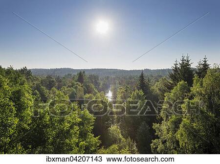 Schrems moor, Schrems, Waldviertel, Lower Austria, Austria, Europe View Large Photo Image Stock Image - Schrems moor, Schrems, Waldviertel, Lower Austria, Austria, Europe. Fotosearch
