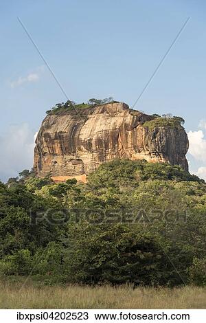 Sigiriya or Lion Rock, Sri Lanka, Asia View Large Photo Image Stock Image - Sigiriya or Lion Rock, Sri Lanka, Asia. Fotosearch