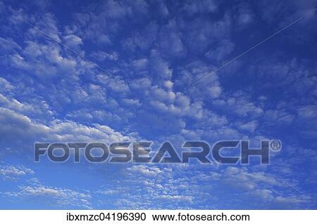 Small fluffy clouds, Cirrocumulus, Bavaria, Germany, Europe View Large Photo Image Stock Image - Small fluffy clouds, Cirrocumulus, Bavaria, Germany, Europe. Fotosearch