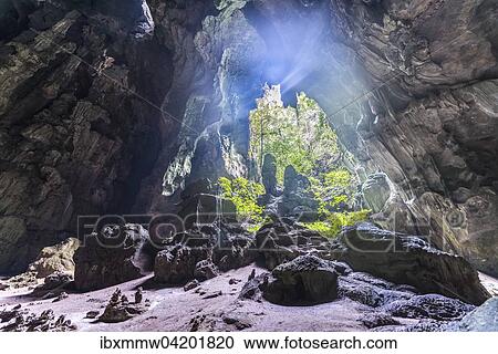 Stalactite cave in the jungle, King and Queen cave, Taman Negara National Park, Jerantut, Pahang, Malaysia, Asia View Large Photo Image Stock Image - Stalactite cave in the jungle, King and Queen cave, Taman Negara National Park, Jerantut, Pahang, Malaysia, Asia. Fotosearch