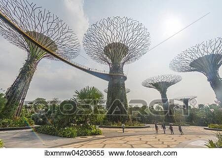 SuperTrees, Gardens by the Bay, Singapore, Asia View Large Photo Image Stock Photography - SuperTrees, Gardens by the Bay, Singapore, Asia. Fotosearch