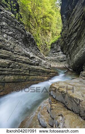 Tauglbachs river flowing through the gorge, Taugl, Hallein District, Salzburg, Austria, Europe View Large Photo Image Stock Image - Tauglbachs river flowing through the gorge, Taugl, Hallein District, Salzburg, Austria, Europe. Fotosearch
