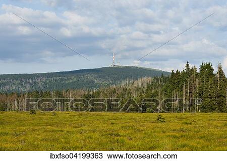 Stock Image - Torfhausmoor raised bog with view towards the Brocken mountain, Harz National Park, Lower Saxony, Germany, Europe. Fotosearch