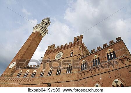 Torre del Mangia Tower, Palazzo Pubblico, town hall, Museum, Piazza del Campo, place, Siena, Tuscany, Italy, Europe View Large Photo Image Stock Photo - Torre del Mangia Tower, Palazzo Pubblico, town hall, Museum, Piazza del Campo, place, Siena, Tuscany, Italy, Europe. Fotosearch