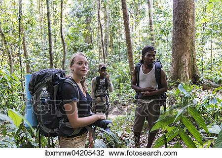 Tourist, hiker, young woman with a backpack in the jungle with two Orang Asil men, Taman Negara, Malaysia, Asia View Large Photo Image Stock Image - Tourist, hiker, young woman with a backpack in the jungle with two Orang Asil men, Taman Negara, Malaysia, Asia. Fotosearch