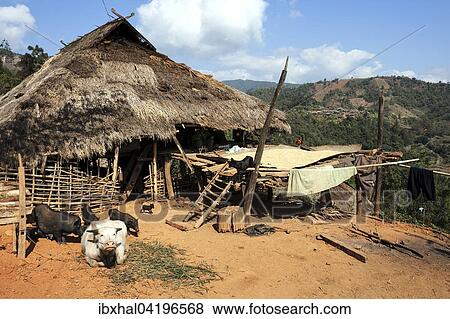 Typical cottage in a mountain village of the Ann tribe, at Pin Tauk, Shan State Golden Triangle, Myanmar, Asia View Large Photo Image Stock Photo - Typical cottage in a mountain village of the Ann tribe, at Pin Tauk, Shan State Golden Triangle, Myanmar, Asia. Fotosearch