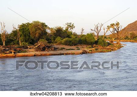Uaso Nyiro river in the evening light, Samburu National Reserve, Kenya, Africa View Large Photo Image Stock Image - Uaso Nyiro river in the evening light, Samburu National Reserve, Kenya, Africa. Fotosearch
