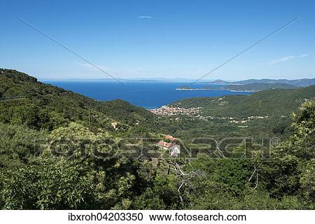 View from the mountain village of Poggio to the island of Elba, Province of Livorno, Tuscany, Italy, Europe View Large Photo Image Stock Image - View from the mountain village of Poggio to the island of Elba, Province of Livorno, Tuscany, Italy, Europe. Fotosearch