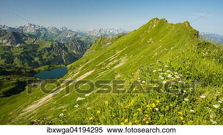 View from the Zeigersattel to Seealpsee lake, Allgau Alps, Allgau, Bavaria, Germany, Europe View Large Photo Image Stock Photography - View from the Zeigersattel to Seealpsee lake, Allgau Alps, Allgau, Bavaria, Germany, Europe. Fotosearch