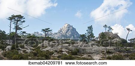 Stock Image - Walking path to Piscia di Gallo, mountain landscape with Punta di u Diamante, Ospedale, Alta Rocca, Corsica, France, Europe. Fotosearch