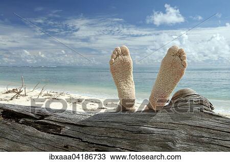 Woman lying on the beach feet up on a tree trunk, Denis Island, Seychelles, Africa View Large Photo Image Stock Image - Woman lying on the beach feet up on a tree trunk, Denis Island, Seychelles, Africa. Fotosearch