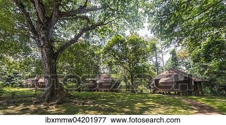 Stock Photo - Wooden huts in the jungle, Kuala Tahan, Taman Negara National Park, Malaysia, Asia. Fotosearch