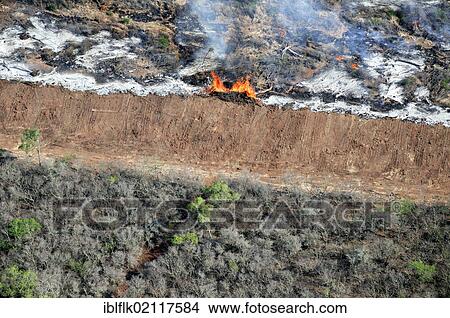 Aerial view, illegal fire clearing, trunks, branches and twigs of a cleared forest are burned on the future soybean fields in the Gran Chaco, Salta, Argentina, South America View Large Photo Image Picture - Aerial view, illegal fire clearing, trunks, branches and twigs of a cleared forest are burned on the future soybean fields in the Gran Chaco, Salta, Argentina, South America. Fotosearch