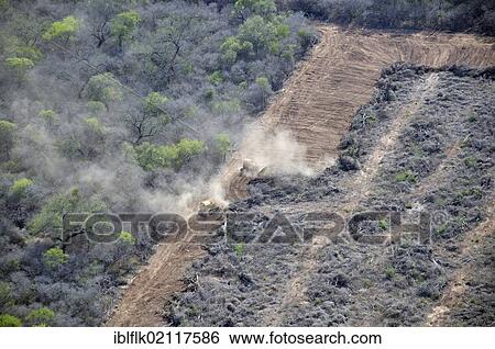 Aerial view, the original forest of the Gran Chaco is cleared with bulldozers, the biomass is distributed on the cleared areas and then burned, Salta, Argentina, South America View Large Photo Image Stock Photograph - Aerial view, the original forest of the Gran Chaco is cleared with bulldozers, the biomass is distributed on the cleared areas and then burned, Salta, Argentina, South America. Fotosearch