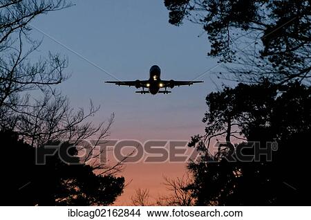Picture - Airbus A320 approaching to land at dusk at Frankfurt Airport, Frankfurt, Hesse, Germany, Europe, PublicGround, Europe. Fotosearch