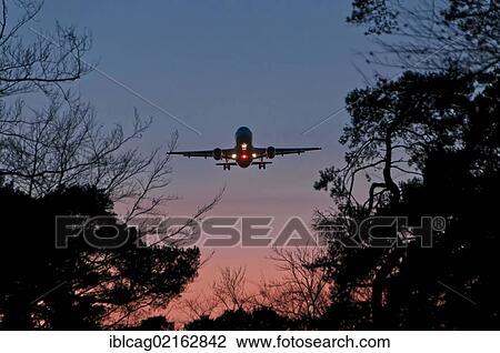 Airbus A320 approaching to land at dusk at Frankfurt Airport, Frankfurt, Hesse, Germany, Europe View Large Photo Image Stock Image - Airbus A320 approaching to land at dusk at Frankfurt Airport, Frankfurt, Hesse, Germany, Europe. Fotosearch