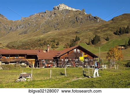 Alpine farmhouse on Spielbodenalp below the summit of Birg Mountain with the mid station of the Schilthornbahn cable car, Muerren hiking area, Bernese Oberland, Switzerland, Europe View Large Photo Image Stock Photo - Alpine farmhouse on Spielbodenalp below the summit of Birg Mountain with the mid station of the Schilthornbahn cable car, Muerren hiking area, Bernese Oberland, Switzerland, Europe. Fotosearch