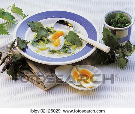 Stock Photo - Aromatic nettle soup with celeriac, leek and egg, Sweden, Europe. Fotosearch