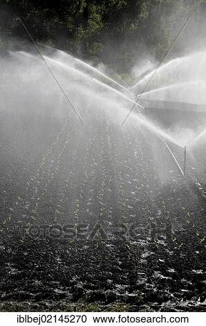Stock Image - Automatic system watering a field, Auvergne, France, Europe. Fotosearch