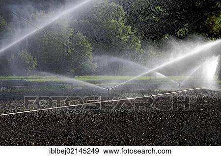 Stock Photo - Automatic system watering a field, Auvergne, France, Europe. Fotosearch