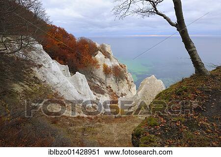Autumn mood, chalk cliffs and Baltic Sea, Moen island, Denmark, Scandinavia, Europe View Large Photo Image Stock Image - Autumn mood, chalk cliffs and Baltic Sea, Moen island, Denmark, Scandinavia, Europe. Fotosearch