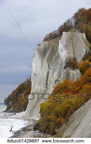 Autumn mood, chalk cliffs and the Baltic Sea, Moensklint, Moen Island, Denmark, Scandinavia, Europe View Large Photo Image Stock Photo - Autumn mood, chalk cliffs and the Baltic Sea, Moensklint, Moen Island, Denmark, Scandinavia, Europe. Fotosearch