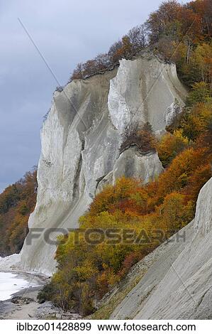 Autumn mood, chalk cliffs and the Baltic Sea, Moensklint, Moen Island, Denmark, Scandinavia, Europe View Large Photo Image Stock Photo - Autumn mood, chalk cliffs and the Baltic Sea, Moensklint, Moen Island, Denmark, Scandinavia, Europe. Fotosearch