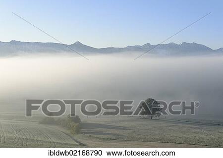 Autumn morning fog near Aidling, Blaues Land district, Pfaffenwinkel, Upper Bavaria, Bavaria, Germany, Europe View Large Photo Image Stock Image - Autumn morning fog near Aidling, Blaues Land district, Pfaffenwinkel, Upper Bavaria, Bavaria, Germany, Europe. Fotosearch