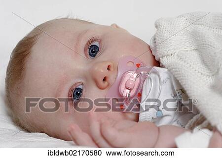 Baby, 6 months, with a dummy View Large Photo Image Stock Image - Baby, 6 months, with a dummy. Fotosearch