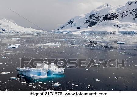 Bahia Paraiso, Paradise Bay, Antarctic Peninsula, Antarctica View Large Photo Image Stock Photograph - Bahia Paraiso, Paradise Bay, Antarctic Peninsula, Antarctica. Fotosearch