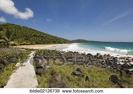 Beach, coconut palms, Big Corn Island, Caribbean Sea, Nicaragua, Central America, North America View Large Photo Image Stock Photo - Beach, coconut palms, Big Corn Island, Caribbean Sea, Nicaragua, Central America, North America. Fotosearch