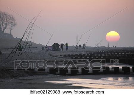Beach fishermen at sunset on the beach near the resort town of Ahrenshoop, Fischland, Mecklenburg-Western Pomerania, Germany, Europe View Large Photo Image Stock Photo - Beach fishermen at sunset on the beach near the resort town of Ahrenshoop, Fischland, Mecklenburg-Western Pomerania, Germany, Europe. Fotosearch