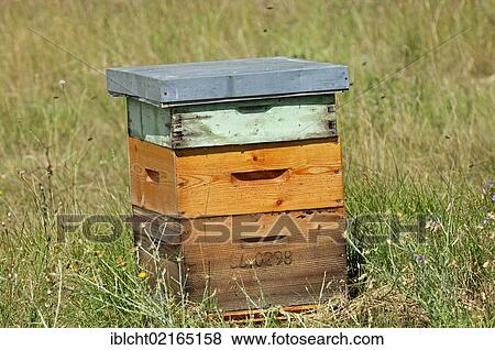 Stock Photo - Beehive or hive, Provence, Southern France, France, Europe. Fotosearch