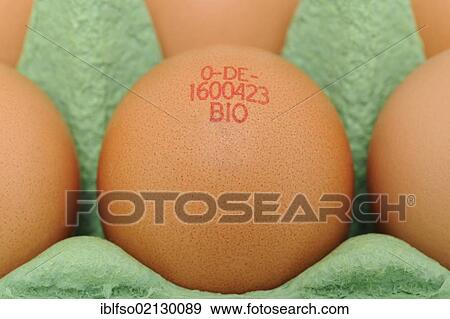 Bio-stamped eggs in packaging View Large Photo Image Stock Photo - Bio-stamped eggs in packaging. Fotosearch