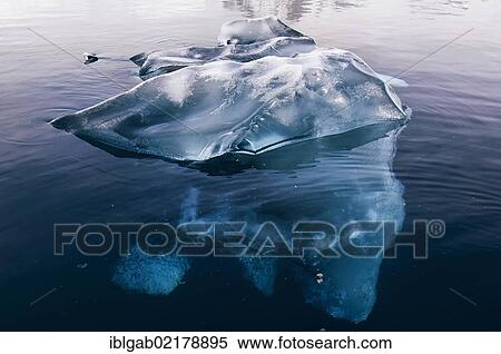 Stock Photography - Black ice, Bahia Paraiso, Paradise Bay, Antarctic Peninsula, Antarctica. Fotosearch
