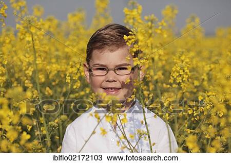 Stock Image - Boy standing in a rapeseed field, Limburg an der Lahn, Hesse, Germany, Europe. Fotosearch