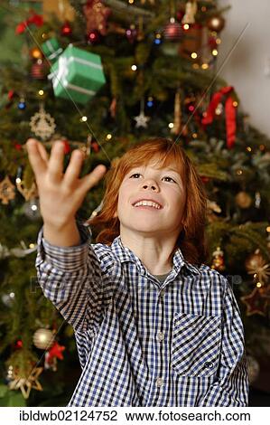 Boy with a Christmas tree View Large Photo Image Stock Image - Boy with a Christmas tree. Fotosearch