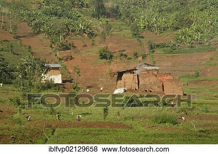 Stock Photo - Brick factory near the town of Musanze, Ruhengeri, Rwanda, Africa. Fotosearch